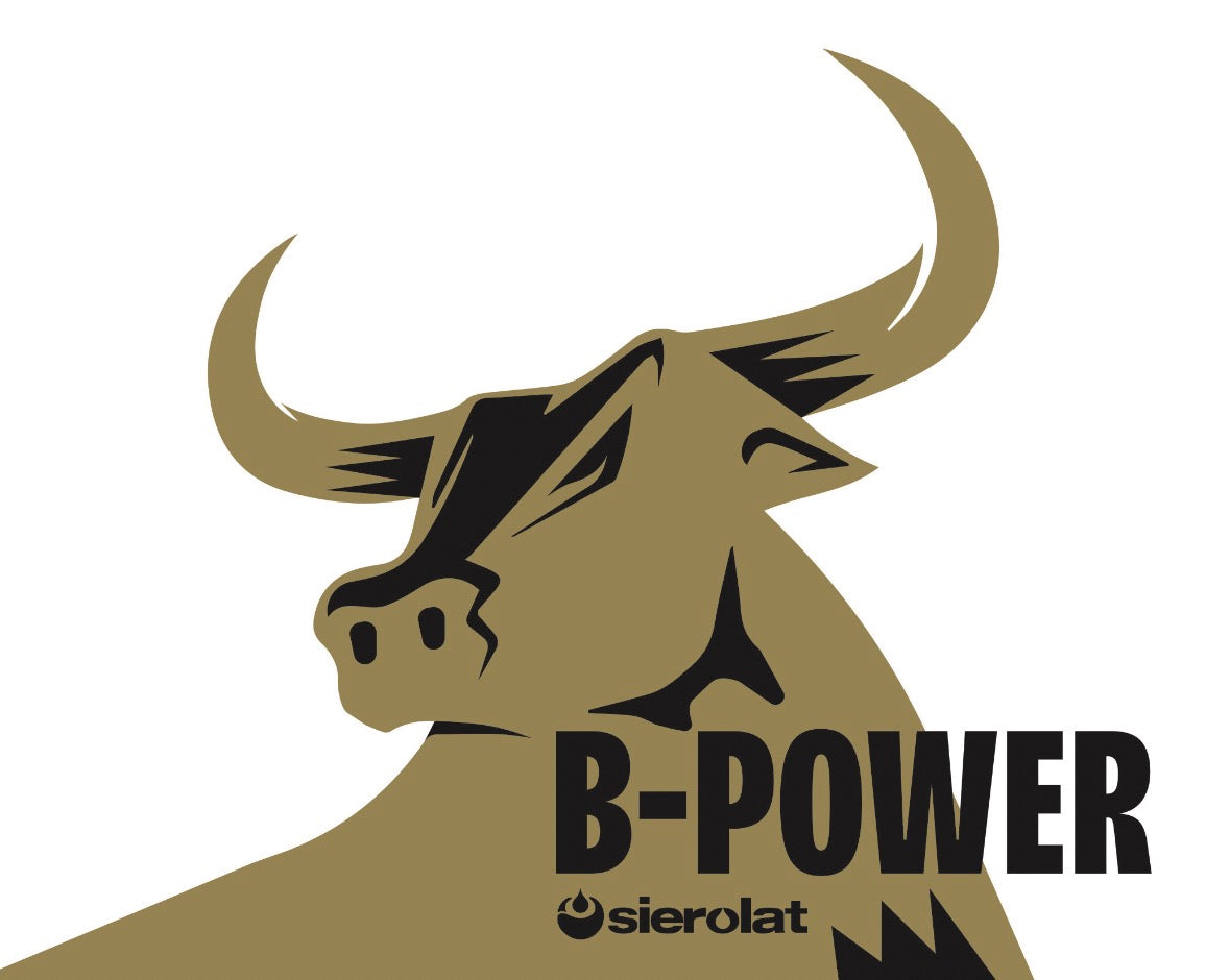 B-Power Protein Buffalo