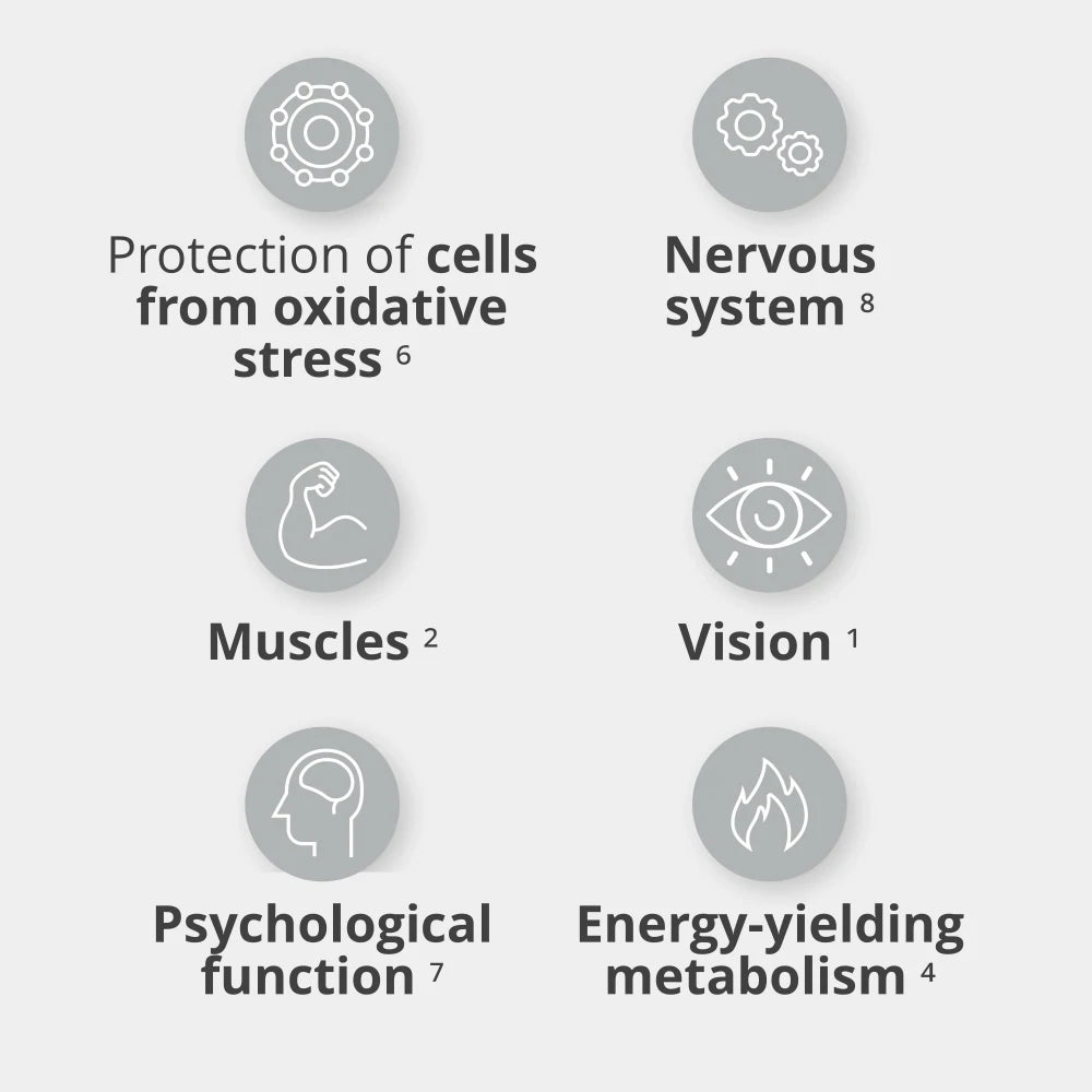Prozis Multi PRZ 120 caps