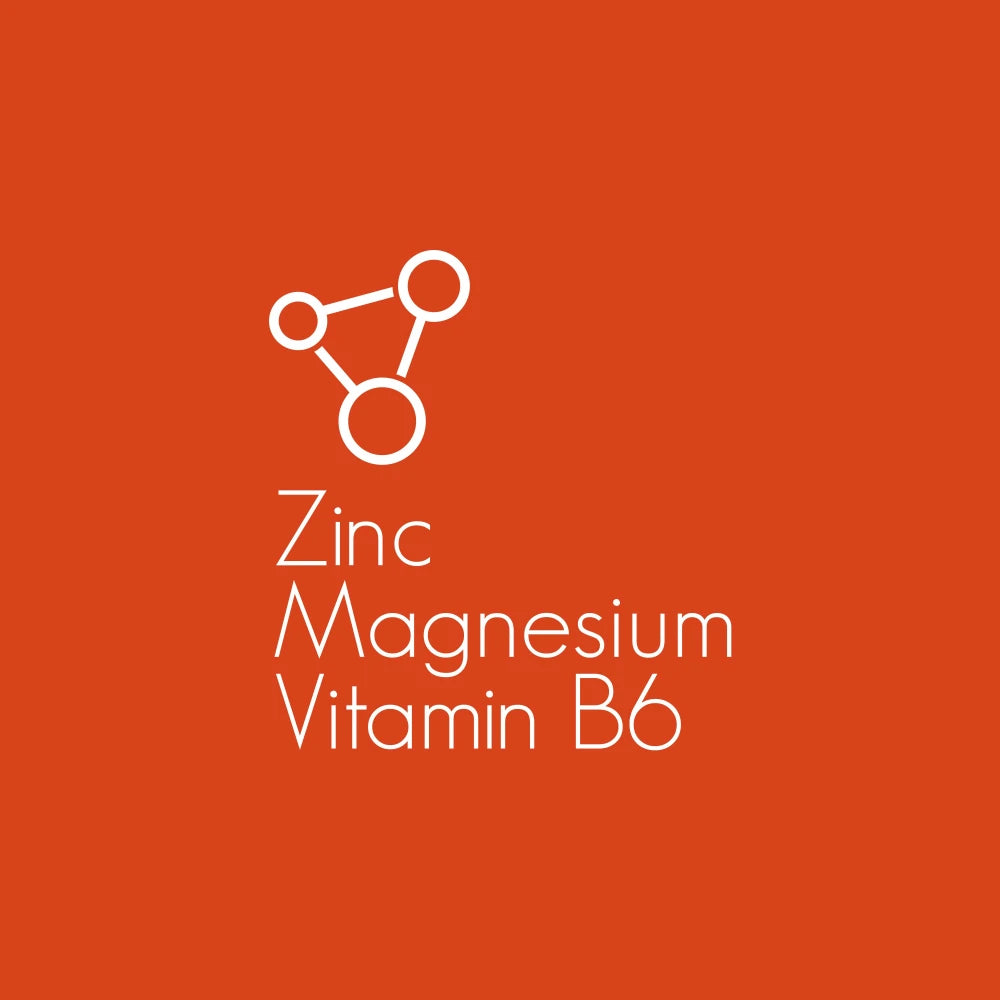 Prozis ZMB6 - Zinco + Magnesio + B6 120 capsule