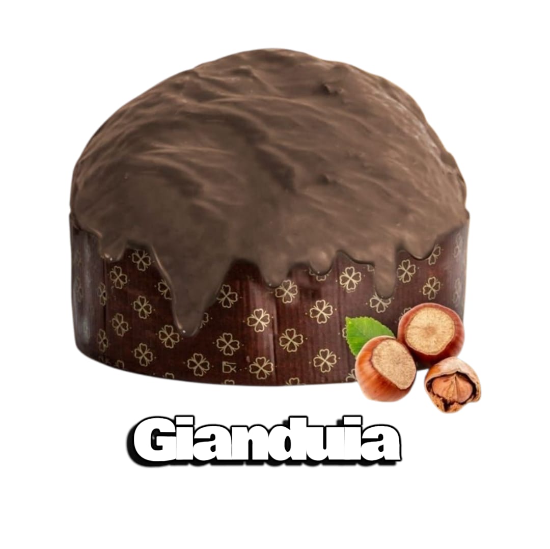 PANETTONE FIT GUSTO GIANDUIA